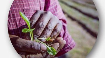 Webinar: Polycrisis and Food systems