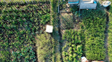 Best Practices of Circular Food Production and Consumption in Japan and Korea