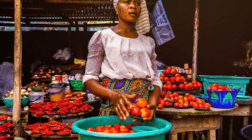 Synthesis report: Urban Food Systems Dialogues