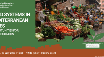 food systems in med cities