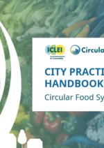 City Practitioners Handbook