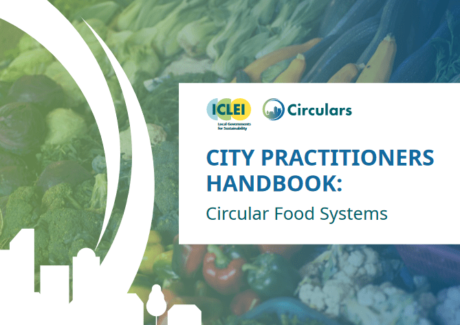 City Practitioners Handbook