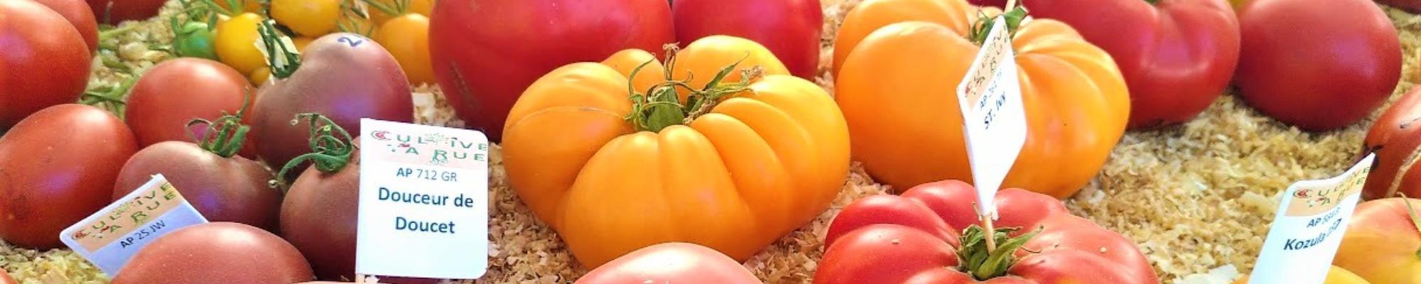 Tomatoes