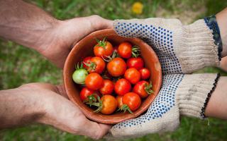 CityFood program about