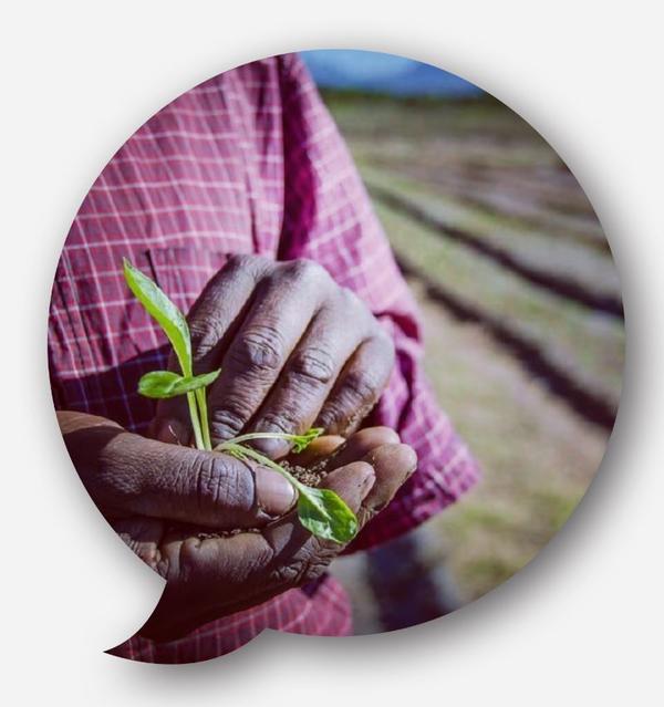 Webinar: Polycrisis and Food systems