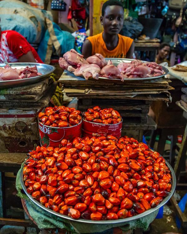 AfriFoodLinks