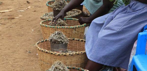 Municipal fresh produce markets, where many informal workers earn their living, have the power to tackle climate change.